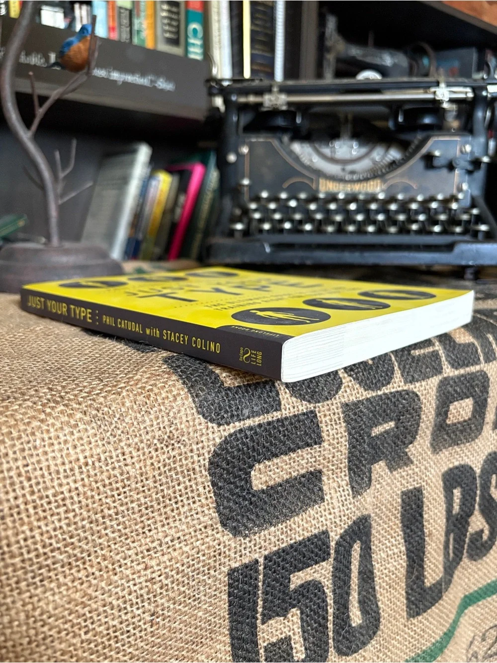 “Just Your Type” Book